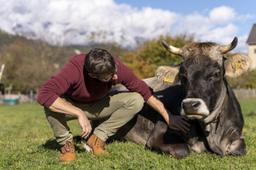 Adrian Hirt mit Kuh